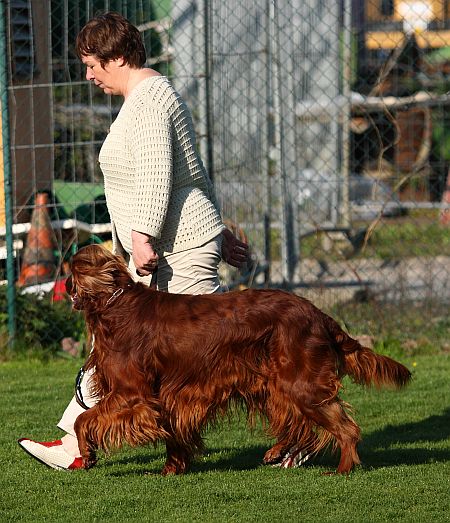 hundeschulemundt_fbh_25-04-10_087