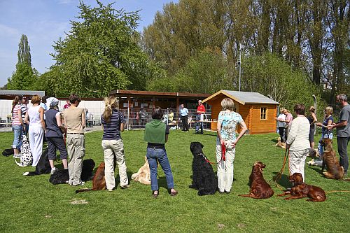 hundeschulemundt_se_25-04-10_003