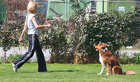 hundeschulemundt_sh_25-04-10_104