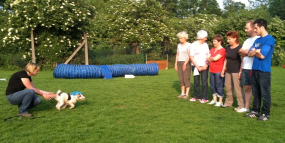 welpenspiel10
